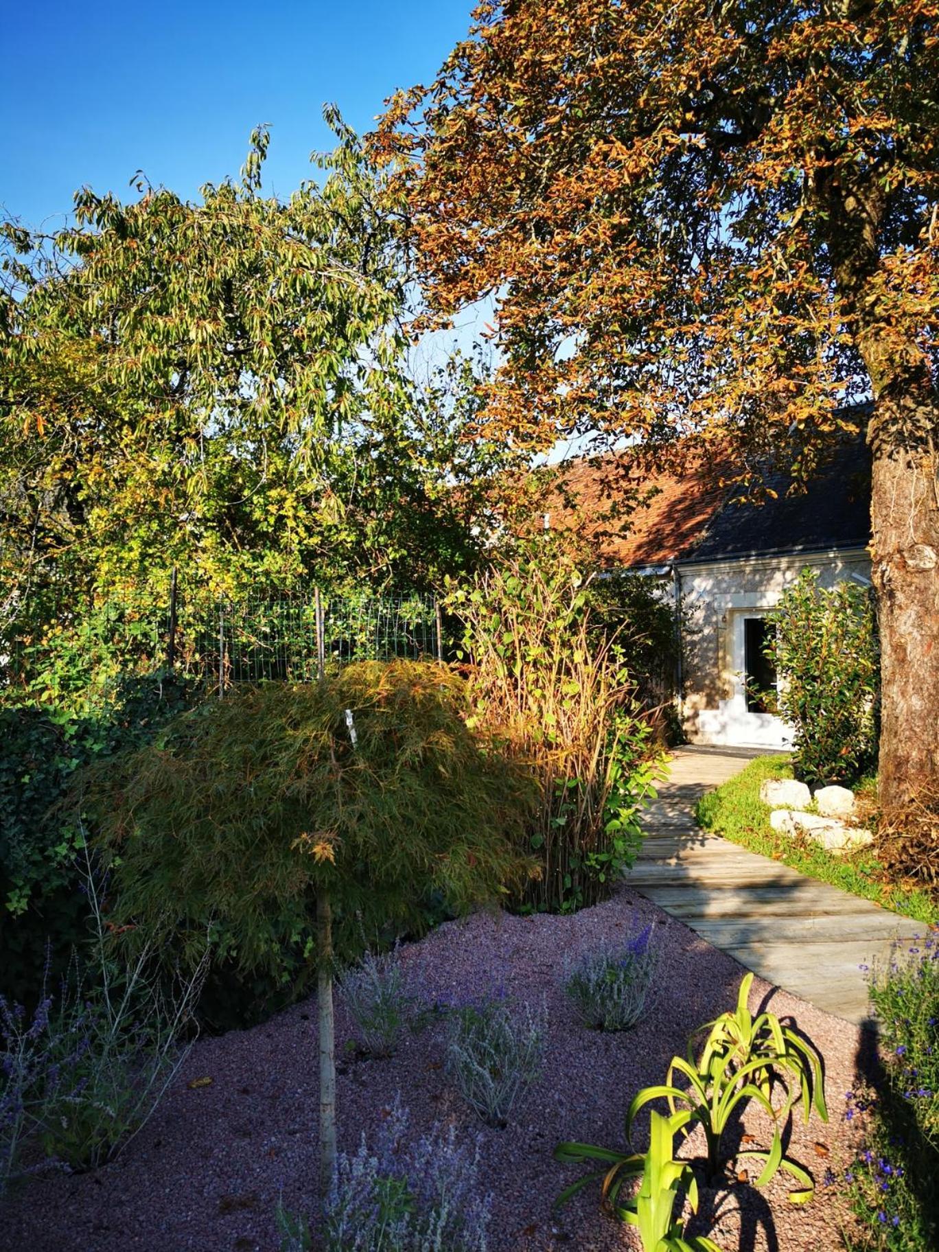 La Jacquiere Bed & Breakfast Chaumont-sur-Loire Exterior foto
